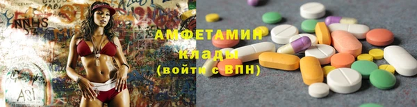 прущие грибы Абаза