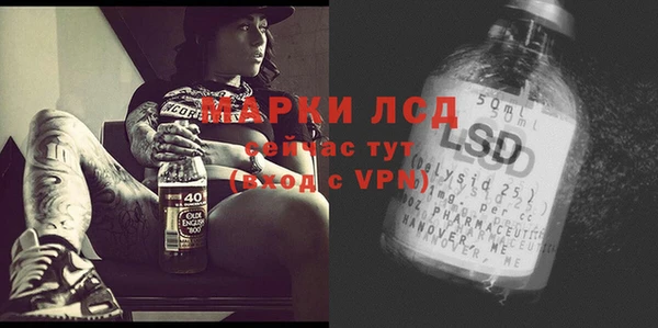 прущие грибы Абаза
