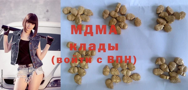 прущие грибы Абаза