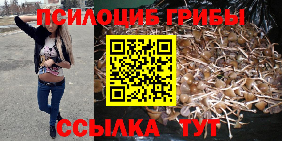 что такое наркотик  Галлюциногенные грибы Psilocybe  Галлюциногенные грибы GOLDEN TEACHER  Вход с VPN  Алейск 