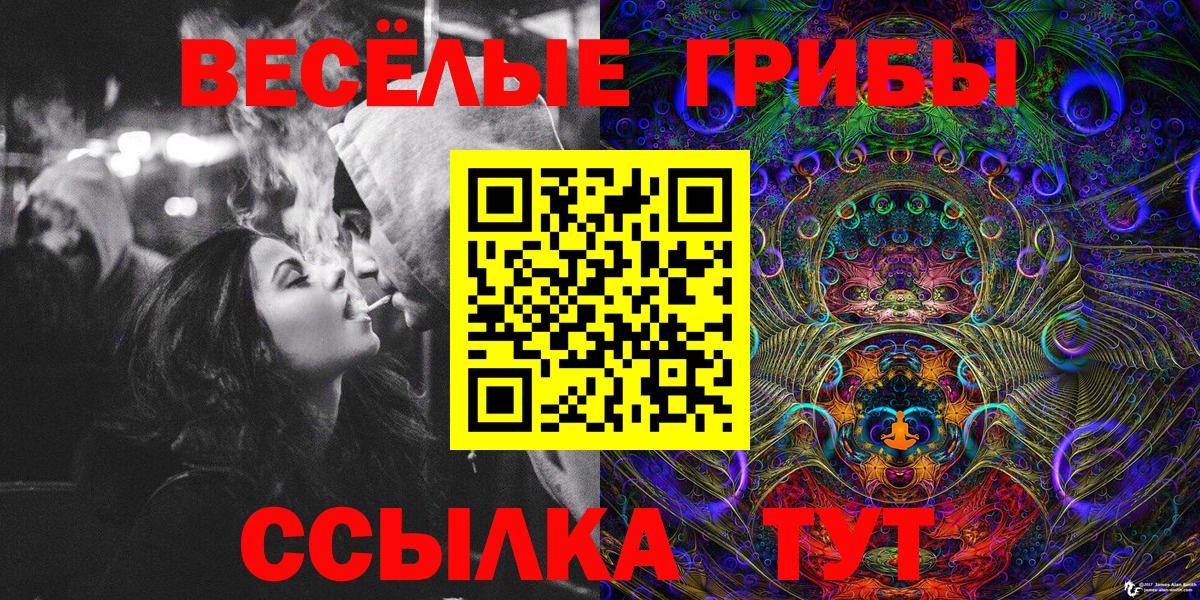 Псилоцибиновые грибы ЛСД Алейск